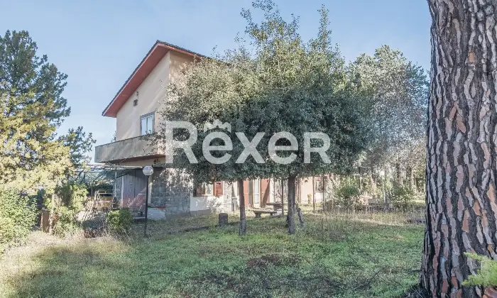 Rexer-Zagarolo-Villa-di-pregio-su-tre-livelli-con-piscina-e-terreno-Altro