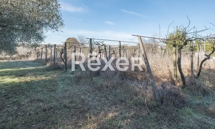 Rexer-Zagarolo-Villa-di-pregio-su-tre-livelli-con-piscina-e-terreno-Altro