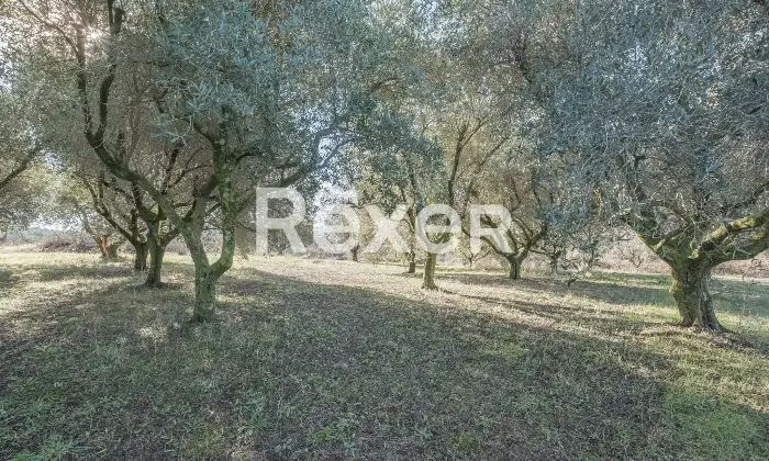 Rexer-Zagarolo-Villa-di-pregio-su-tre-livelli-con-piscina-e-terreno-Altro