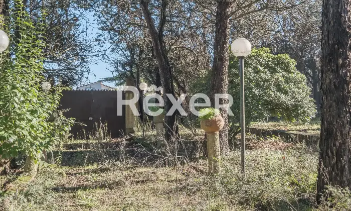 Rexer-Zagarolo-Villa-di-pregio-su-tre-livelli-con-piscina-e-terreno-Altro