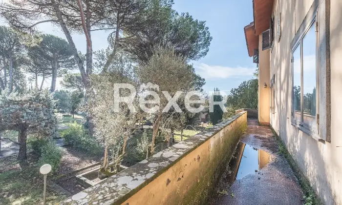 Rexer-Zagarolo-Villa-di-pregio-su-tre-livelli-con-piscina-e-terreno-Altro