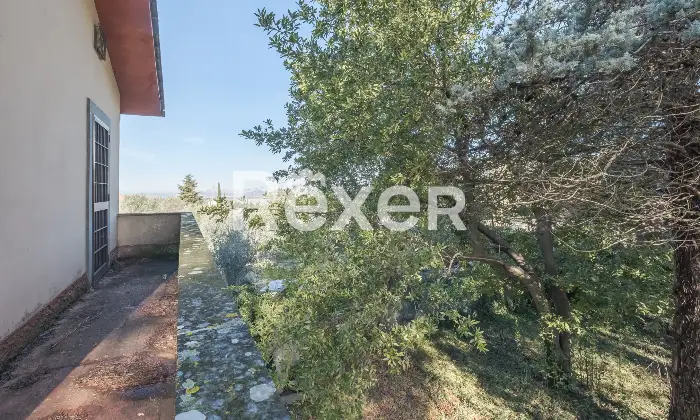 Rexer-Zagarolo-Villa-di-pregio-su-tre-livelli-con-piscina-e-terreno-Altro