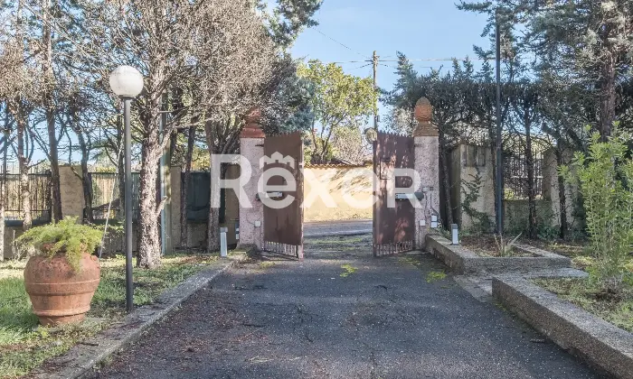 Rexer-Zagarolo-Villa-di-pregio-su-tre-livelli-con-piscina-e-terreno-Altro