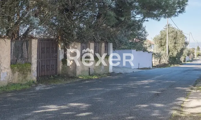 Rexer-Zagarolo-Villa-di-pregio-su-tre-livelli-con-piscina-e-terreno-Altro