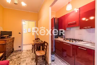 Rexer-Susa-Stabile-Ampio-e-Versatile-Altro