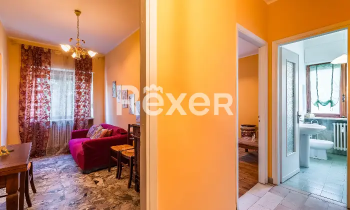 Rexer-Susa-Stabile-Ampio-e-Versatile-Altro