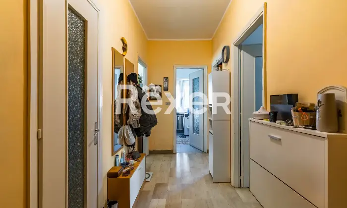 Rexer-Susa-Stabile-Ampio-e-Versatile-Altro