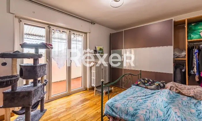 Rexer-Susa-Stabile-Ampio-e-Versatile-Altro