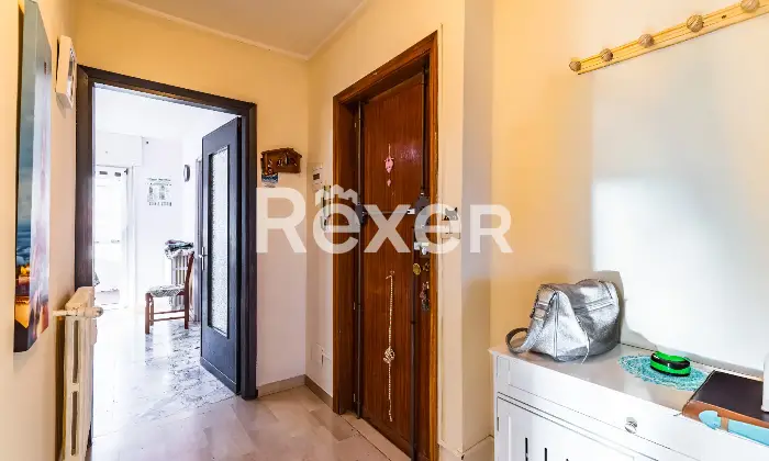 Rexer-Susa-Stabile-Ampio-e-Versatile-Altro