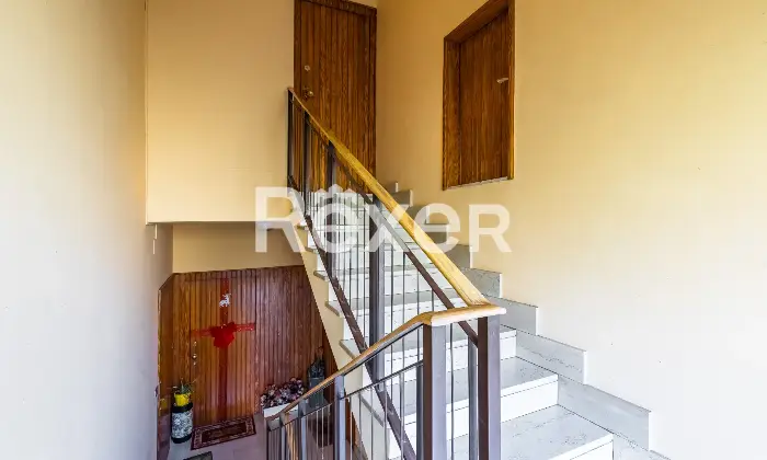 Rexer-Susa-Stabile-Ampio-e-Versatile-Altro