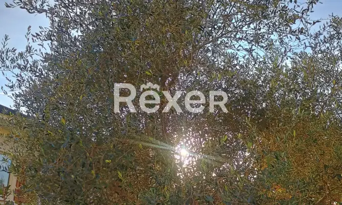 Rexer-Laveno-Mombello-Trilocale-con-giardino-Altro