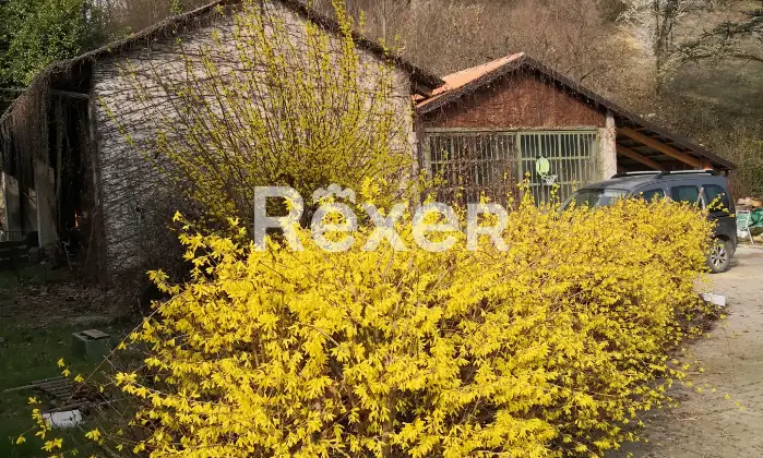 Rexer-San-Damiano-dAsti-Farmhouse-in-San-Damiano-dAsti-Terrazzo