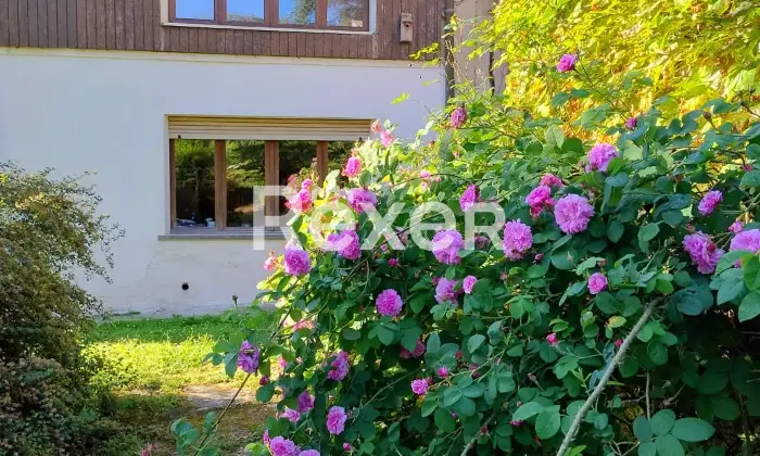 Rexer-San-Damiano-dAsti-Farmhouse-in-San-Damiano-dAsti-Giardino