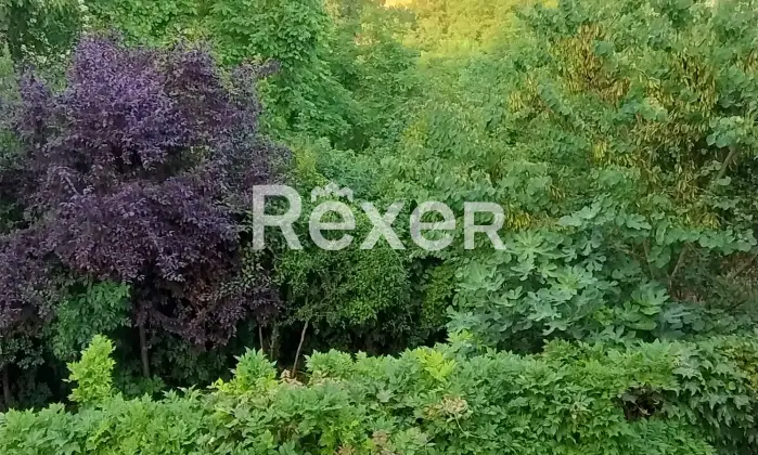 Rexer-San-Damiano-dAsti-Farmhouse-in-San-Damiano-dAsti-Giardino