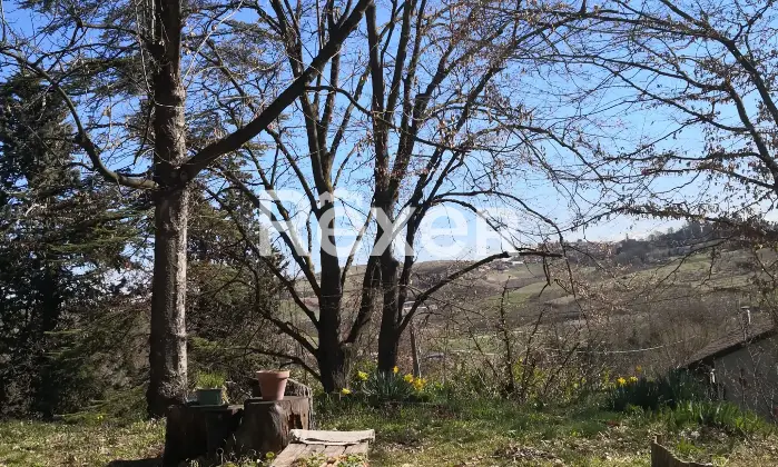Rexer-San-Damiano-dAsti-Farmhouse-in-San-Damiano-dAsti-Terrazzo