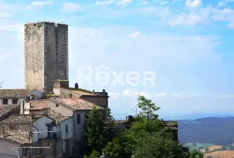 Rexer-San-Vito-Casa-indipendente-nel-borgo-medievale-di-San-Vito-di-Narni-TR-Altro