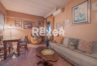 Rexer-Roma-Via-Monte-Meta-Luminoso-ultimo-piano-da-ristrutturare-Altro