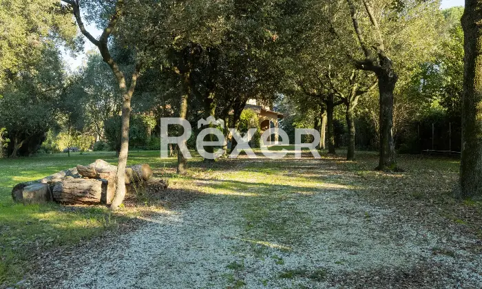 Rexer-Pisa-Villa-con-parco-e-piscina-Altro
