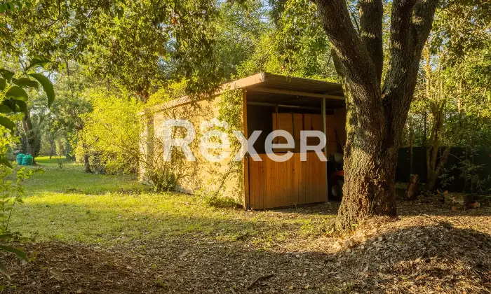 Rexer-Pisa-Villa-con-parco-e-piscina-Altro