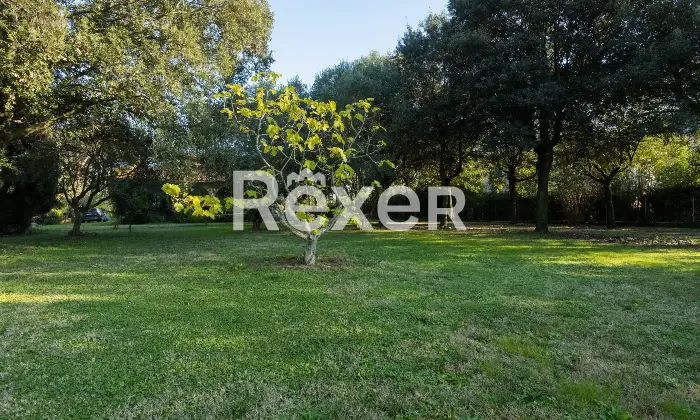 Rexer-Pisa-Villa-con-parco-e-piscina-Altro