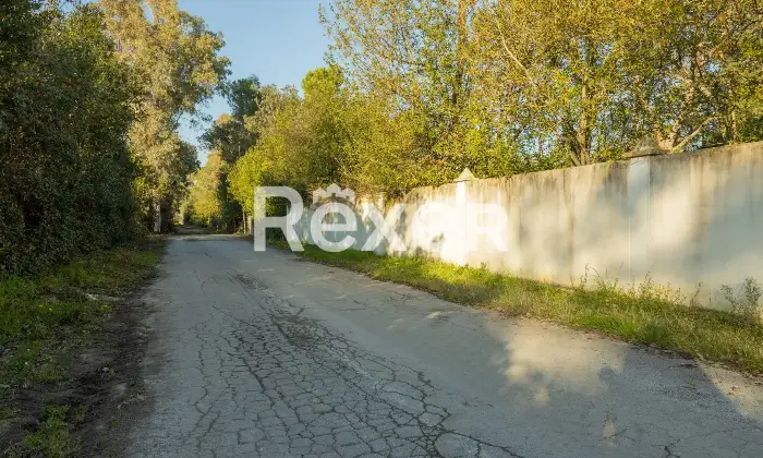 Rexer-Pisa-Villa-con-parco-e-piscina-Altro