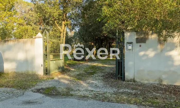 Rexer-Pisa-Villa-con-parco-e-piscina-Altro