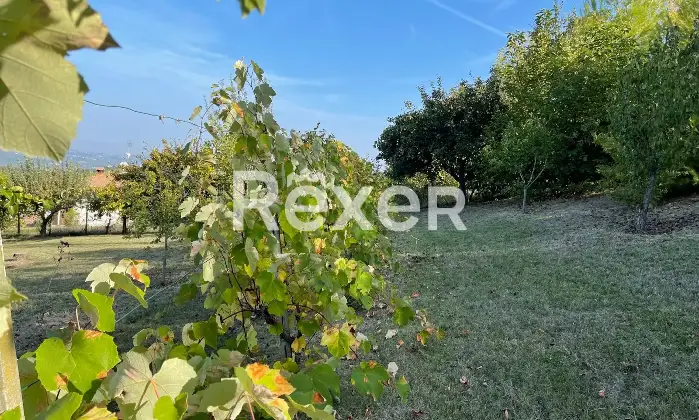 Rexer-Ca-Albertinipizzofreddo-Villetta-indipendente-Santa-Maria-della-Versa-Localit-Ca-Bardone-Altro