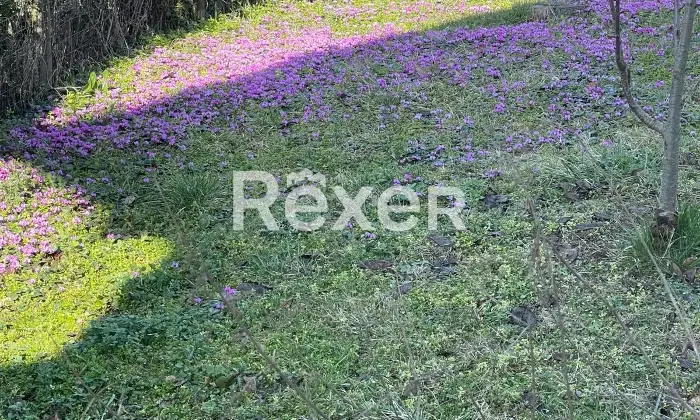 Rexer-Ca-Albertinipizzofreddo-Villetta-indipendente-Santa-Maria-della-Versa-Localit-Ca-Bardone-Altro