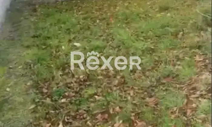 Rexer-Prastio-Casa-indipendente-su-unico-livello-con-garage-cantina-e-forno-a-legna-Prastio-Viggianello-Altro