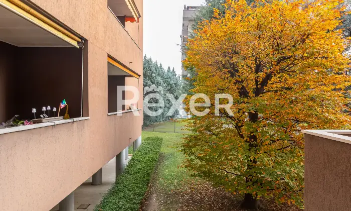 Rexer-Settimo-Milanese-Ampio-appartamento-di-Tre-locali-con-cucina-abitabile-Altro