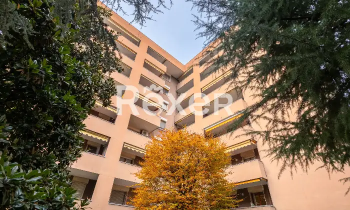 Rexer-Settimo-Milanese-Ampio-appartamento-di-Tre-locali-con-cucina-abitabile-Altro