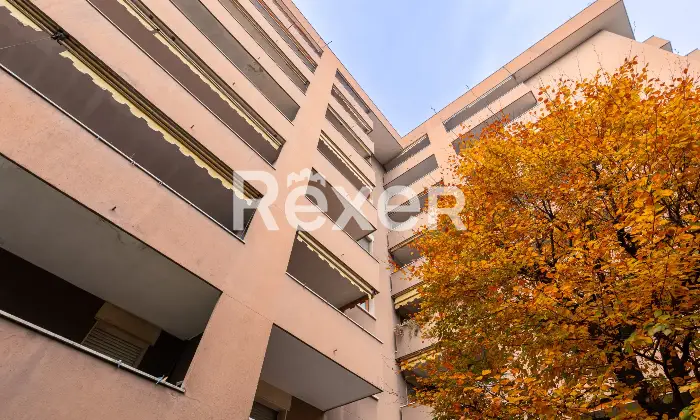 Rexer-Settimo-Milanese-Ampio-appartamento-di-Tre-locali-con-cucina-abitabile-Altro