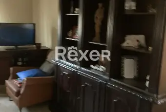 Rexer-Trecenta-Casa-singola-su-due-livelli-con-garage-giardino-e-area-edificabile-di-m-a-Trecenta-Altro