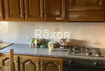 Rexer-Trecenta-Casa-singola-su-due-livelli-con-garage-giardino-e-area-edificabile-di-m-a-Trecenta-Altro