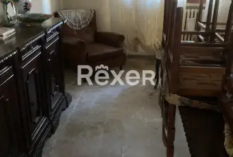 Rexer-Trecenta-Casa-singola-su-due-livelli-con-garage-giardino-e-area-edificabile-di-m-a-Trecenta-Altro