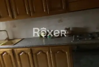 Rexer-Trecenta-Casa-singola-su-due-livelli-con-garage-giardino-e-area-edificabile-di-m-a-Trecenta-Altro