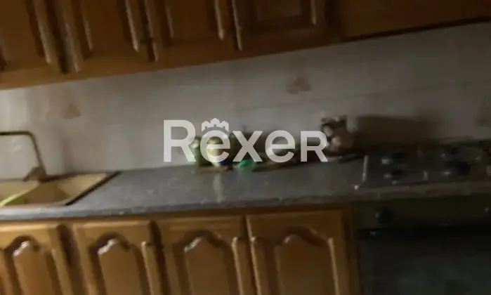 Rexer-Trecenta-Casa-singola-su-due-livelli-con-garage-giardino-e-area-edificabile-di-m-a-Trecenta-Altro