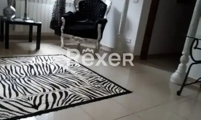 Rexer-Montenero-di-Bisaccia-Casa-di-paese-in-vendita-in-cda-colle-bucaca-cannivieri-Montenero-di-Bisaccia-Altro