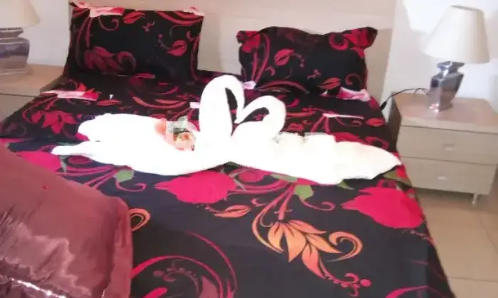 Rexer-Montenero-di-Bisaccia-Casa-di-paese-in-vendita-in-cda-colle-bucaca-cannivieri-Montenero-di-Bisaccia-Altro