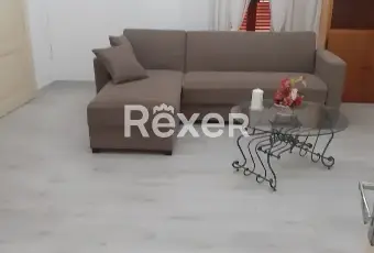 Rexer-Montenero-di-Bisaccia-Casa-in-vendita-In-via-Regina-Margherita-Montenero-di-Bisaccia-Altro