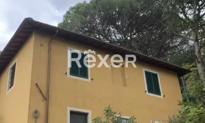Rexer-Palaia-Casale-toscano-indipendente-con-ettari-di-terreno-dependance-e-possibilit-di-piscina-Giardino