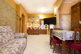 Rexer-Moncalieri-Appartamento-Ristrutturato-Tra-Moncalieri-e-Nichelino-Altro