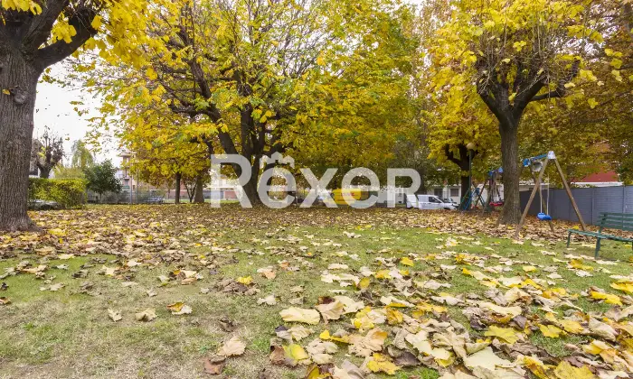 Rexer-Moncalieri-Appartamento-Ristrutturato-Tra-Moncalieri-e-Nichelino-Altro