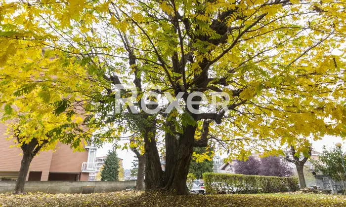 Rexer-Moncalieri-Appartamento-Ristrutturato-Tra-Moncalieri-e-Nichelino-Altro