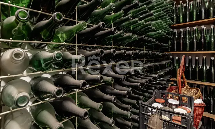 Rexer-Bologna-Trilocale-al-piano-primo-Altro