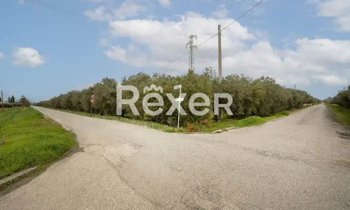 Rexer-Scanzano-Jonico-Villa-Bifamiliare-con-Ampio-Giardino-e-Terreno-a-Pochi-Minuti-dal-Mare-Altro