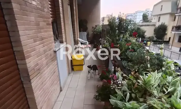 Rexer-Isernia-Ampio-e-Luminoso-Appartamento-di-mq-in-Via-Giovanni-XXIII-Altro