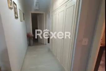 Rexer-Isernia-Ampio-e-Luminoso-Appartamento-di-mq-in-Via-Giovanni-XXIII-Altro