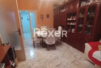 Rexer-Isernia-Ampio-e-Luminoso-Appartamento-di-mq-in-Via-Giovanni-XXIII-Altro