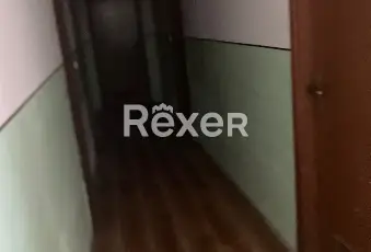 Rexer-Trecenta-Appartamento-al-piano-terra-con-box-cantina-e-balcone-Altro